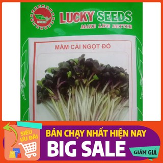 Hạt giống rau mầm cải ngọt đỏ - 20gr