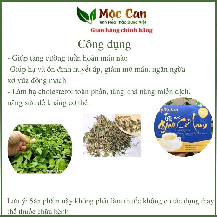 Trà Cao Giảo Cổ Lam Giúp hạ và ổn định huyết áp, giảm mỡ máu, xơ vữa động mạch hộp 25 túi lọc