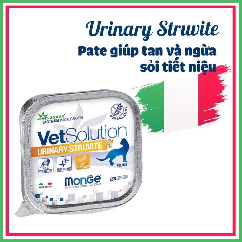 Pate hỗ trợ phục hồi Monge Vet Solution dành cho Mèo - Monge Vet Solution for Cats