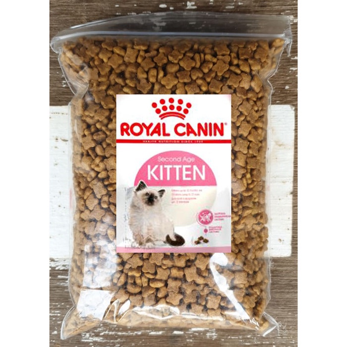 Thức ăn cao cấp cho mèo con KITTEN 36 Bao 10kg