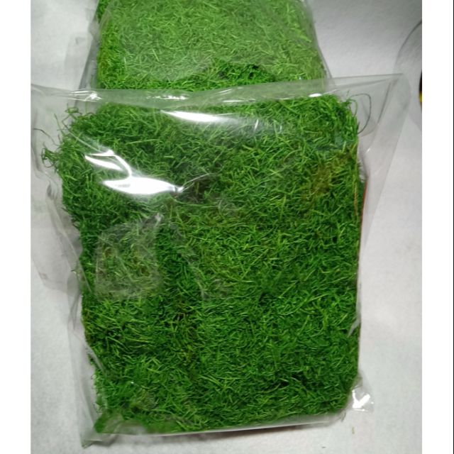 Cỏ sợi 100gram