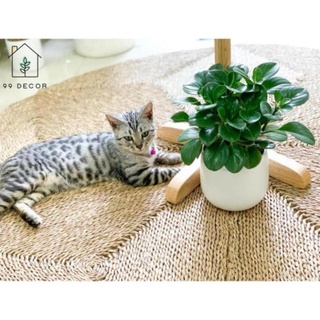 Mây tre đan- xường sx- thảm cói tròn trải sàn decor trang trí nhà cửa -tre vn - tre vn
