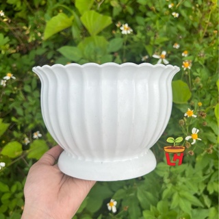 Chậu nhựa trồng cây (Chậu khía bầu), nhựa dày cao cấp