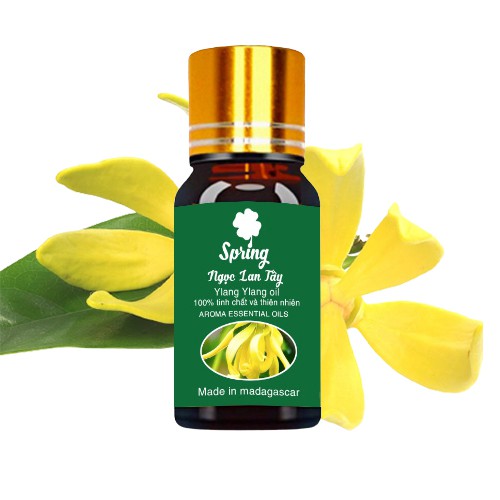 Tinh dầu Ngọc Lan Tây nguyên chất lọ 10ml, Với mùi thơm dịu nhẹ xông phòng Tạo không gian thơm mát.