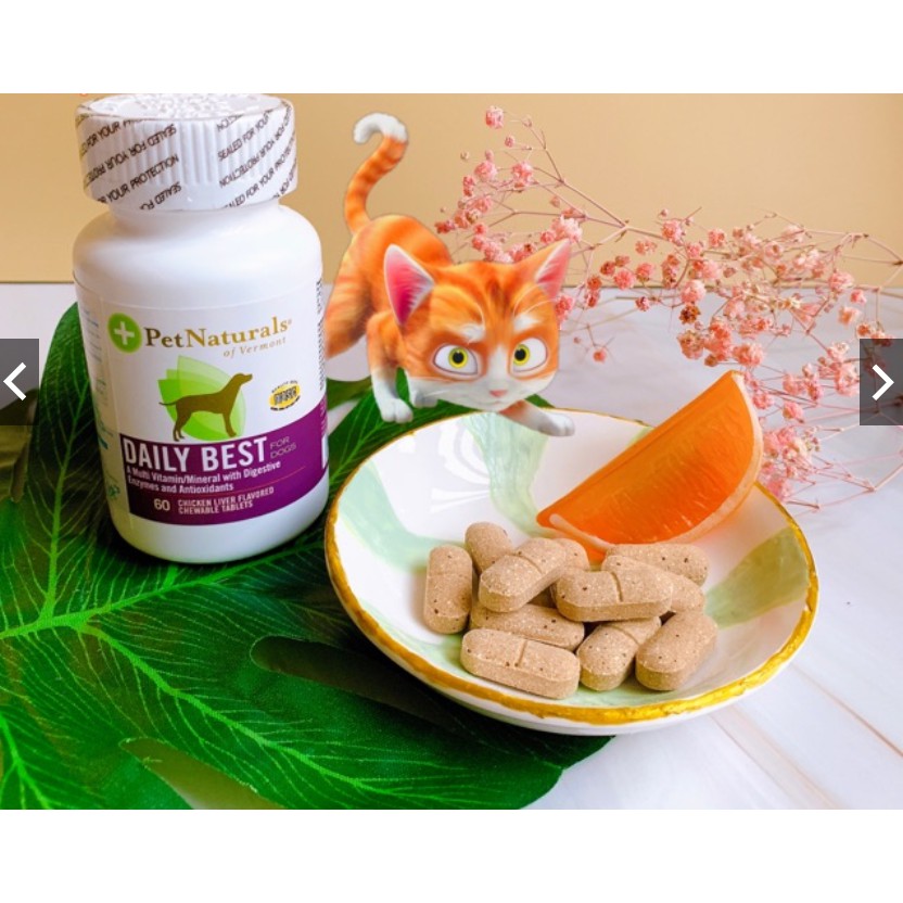 Viên Daily Best VITAMIN TỔNG HỢP tăng sức đề kháng cho thú cưng