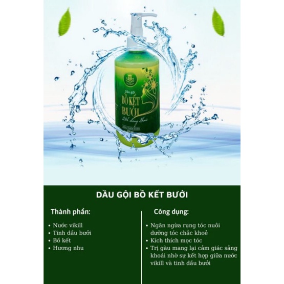 Dầu Gội Bồ Kết Bưởi