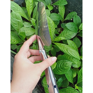 Xẻng inox - xẻng mini xúc đất