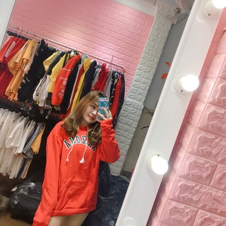 Áo hoodies nỉ ngoại lót lông siêu hot freesize <65kg