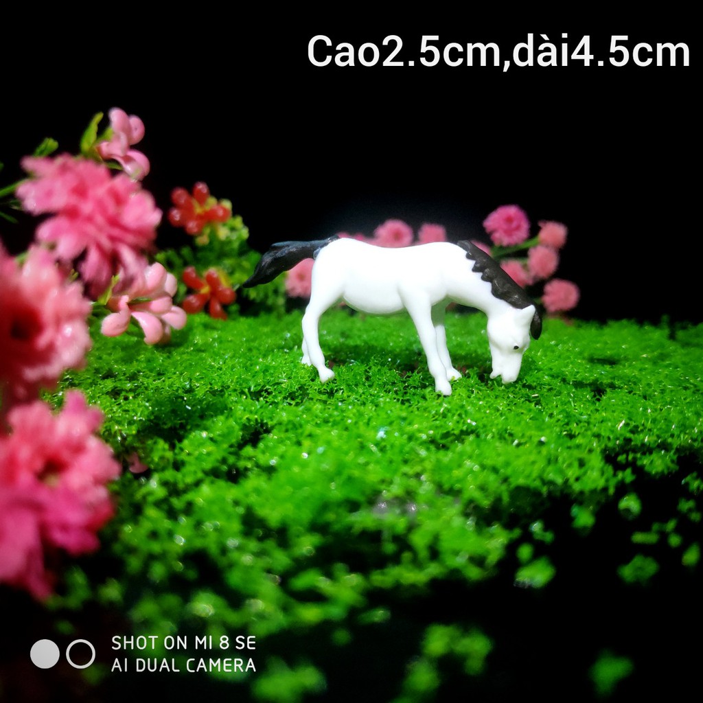 Ngựa làm tiểu cảnh