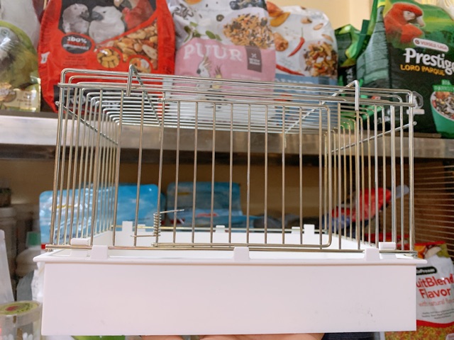 Chuồng tắm lớn có cửa hàng Ý
