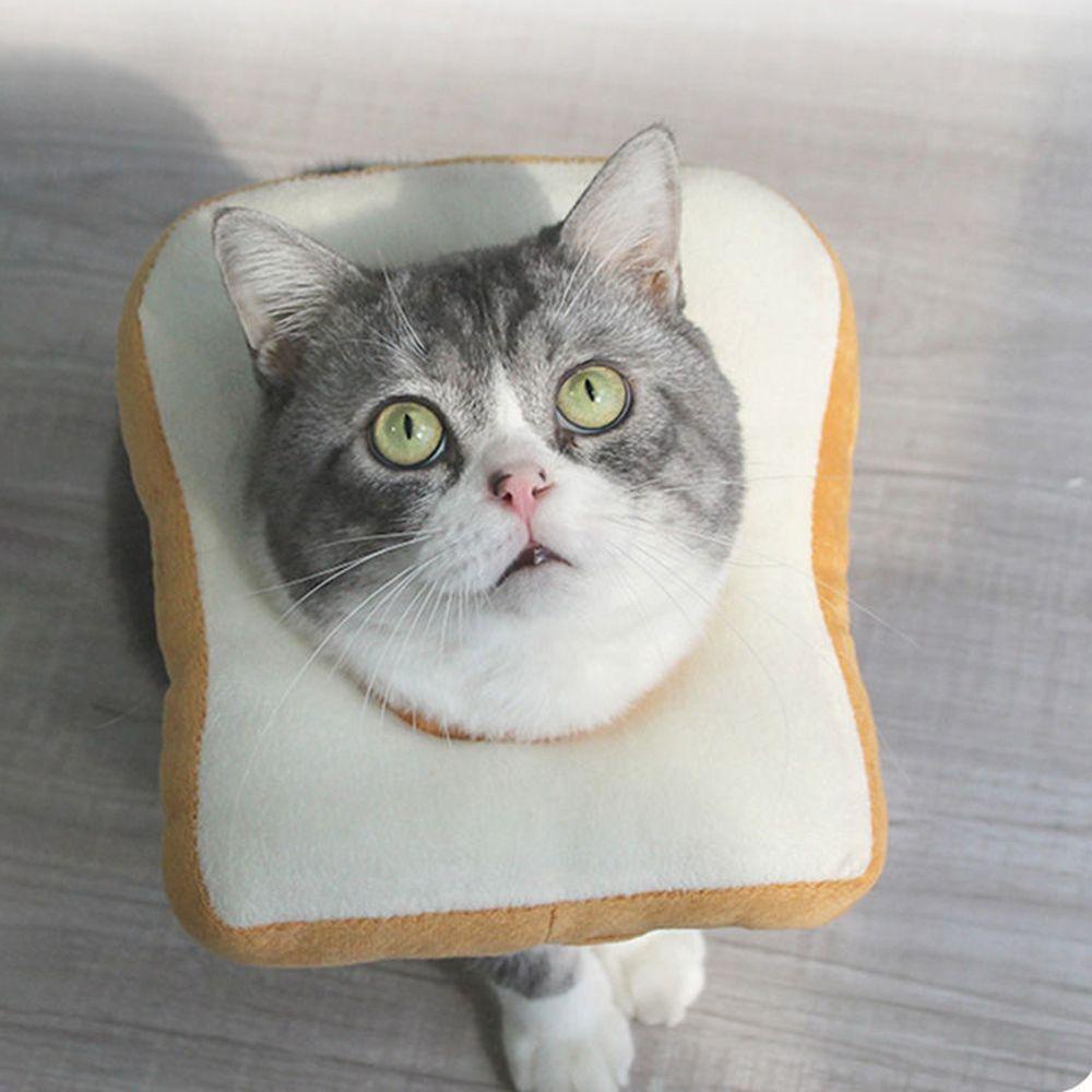 [COD] Vòng Cổ Hình Quả Bơ Bằng Cotton PP Chống Cắn / Chống Biến Dạng Tùy Chỉnh Tiện Dụng Cho Mèo Cưng