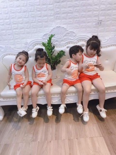 Bộ hoa quả sỉ 3x