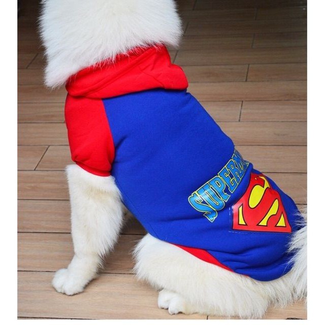 QUẦN ÁO CHÓ MÈO - Áo nỉ superman màu xanh có mũ cho thú cưng SIZE TO (10KG - 17KG)