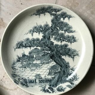 Đĩa trang trí + Đế