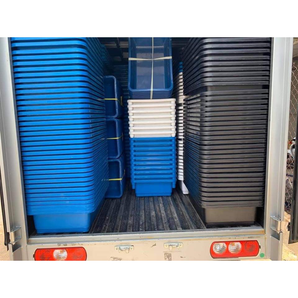 Hỏa Tốc HCM - Buôn Sỉ | Khay Nhựa 50x35x13 (16L) Ép Cá, Form Cá, Nuôi Guppy - Trồng Cây