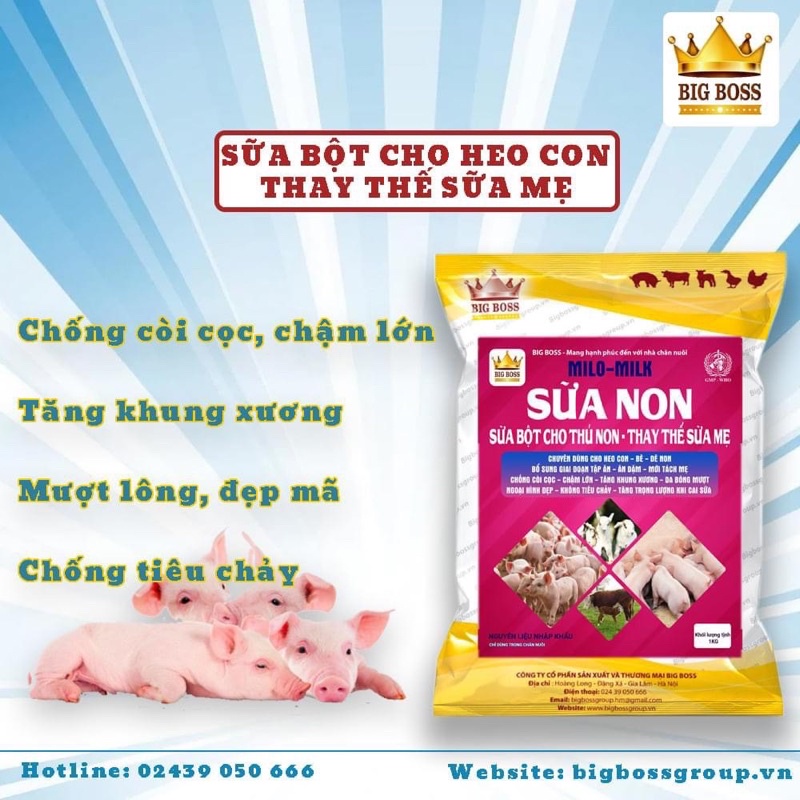Sữa Non, Sưa Bột Dành Cho Heo Con, Trâu, Bò, Dê. Hàng Công Ty
