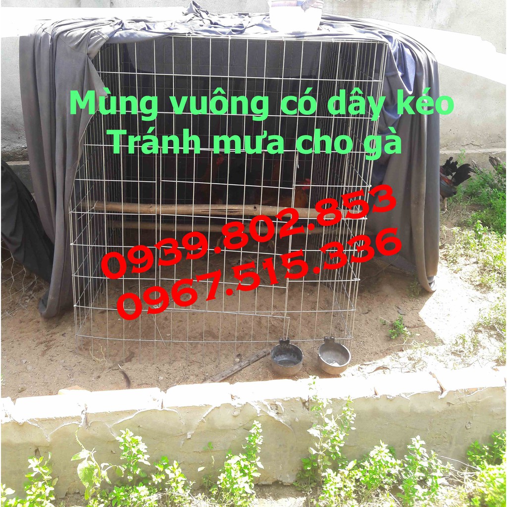 Mùng gà vuông các kích thước có dây kéo tránh mưa + tránh muỗi