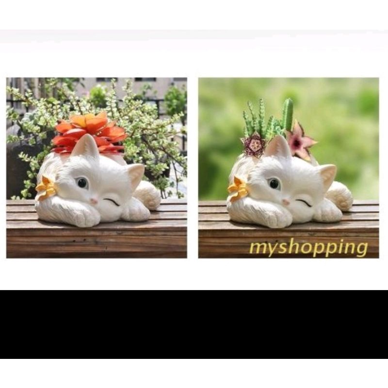 Chậu xi măng  thú trồng sen đá xương rồng hình mèo dễ thương.tô tượng