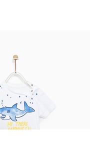 Bộ zara cá mập