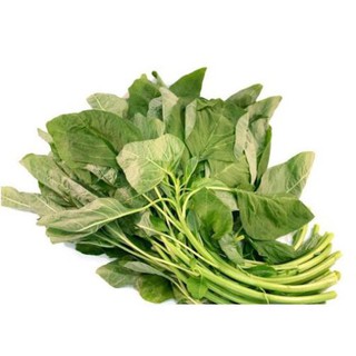 Hạt Giống Rau Dền