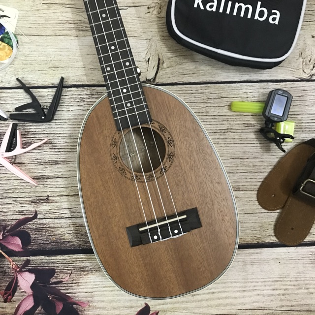 (ĐỘC) ĐÀN UKULELE CONCERT BẦU DỤC