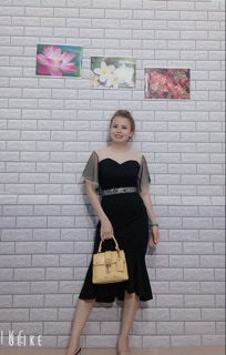 Đầm thiết kế