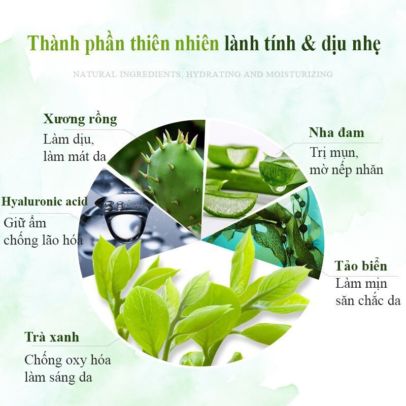 Bộ dưỡng ẩm cao cấp Laikou làm săn chắc và chống lão hóa chiết suất trà xanh bộ chăm sóc da HT-TL43 | BigBuy360 - bigbuy360.vn