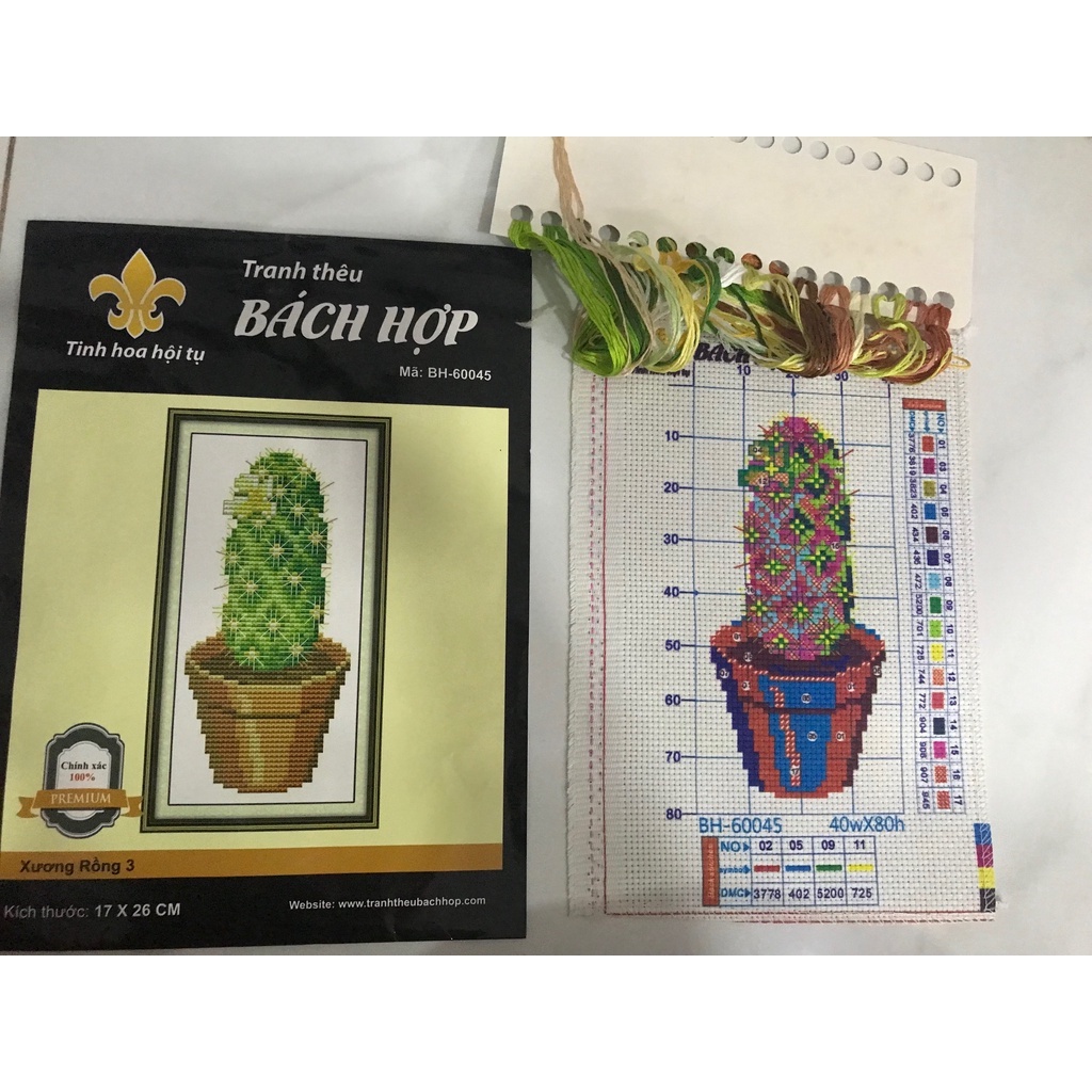 TRANH THÊU CHỮ THẬP HÌNH CHẬU XƯƠNG RỒNG MẪU 3