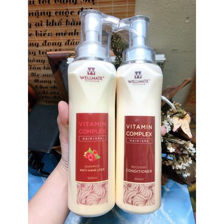 Combo dầu gội xả chống rụng, phục hồi WELLMATE