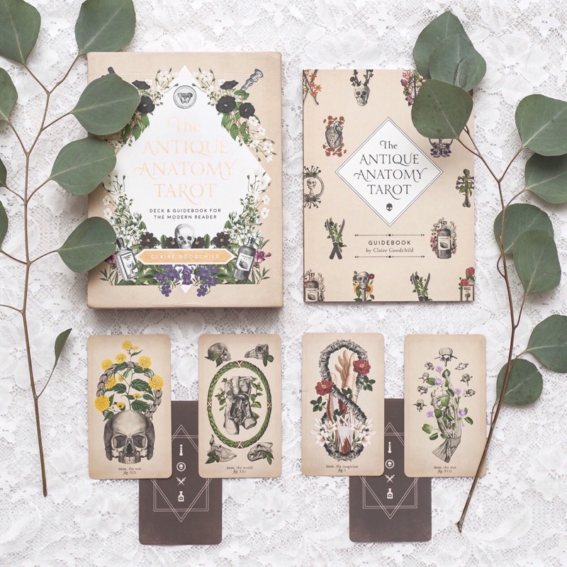 Bộ bài The Antique Anatomy Tarot Kit authentic order Mỹ  for the Modern Reader