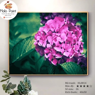 Tranh sơn dầu số hoá tự tô màu Tranh Hoa Cẩm Tú Cầu Tím