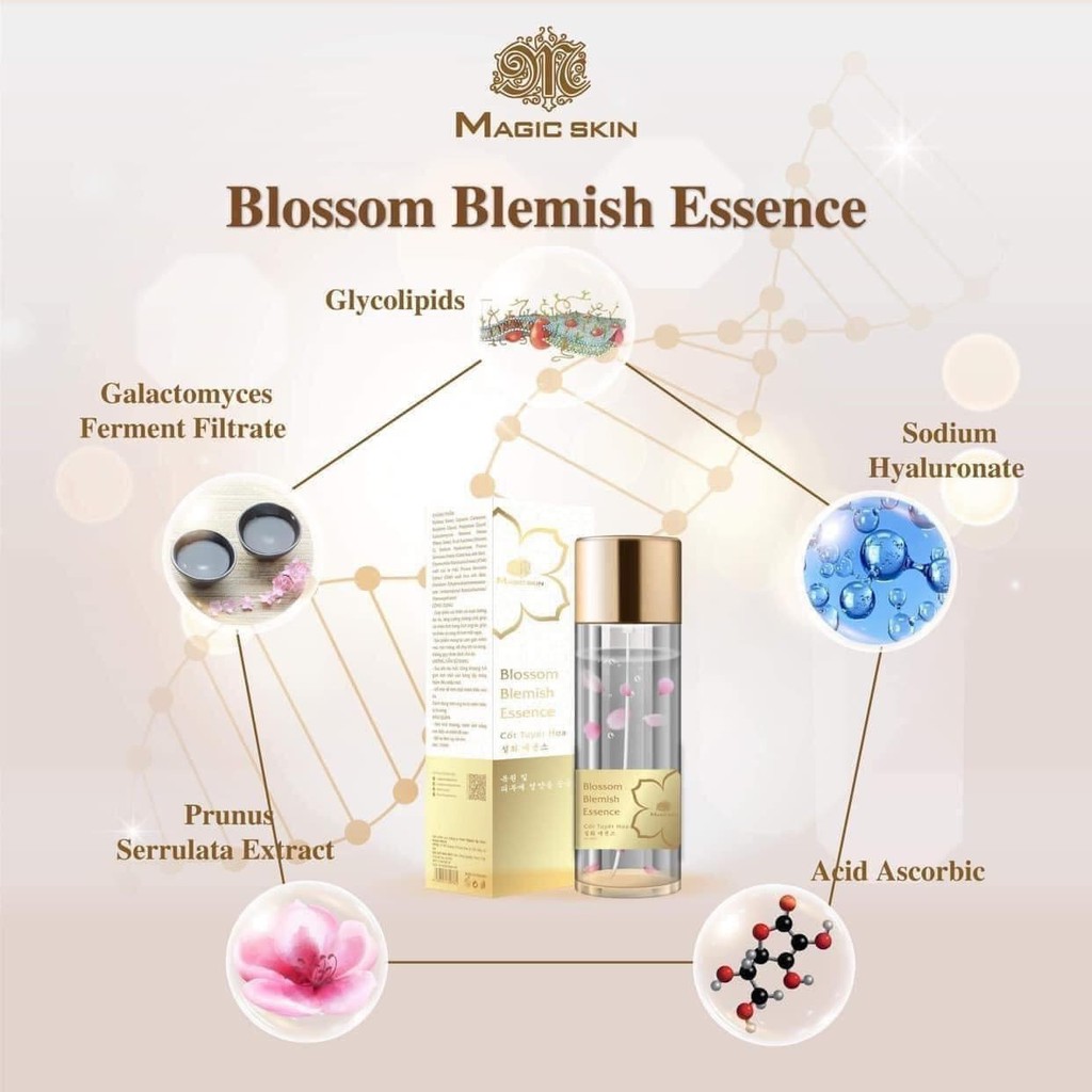 (HÀNG CHÍNH HÃNG) TONER CỐT TUYẾT HOA BLOSSOM BLEMISH ESSENSE Magic skin