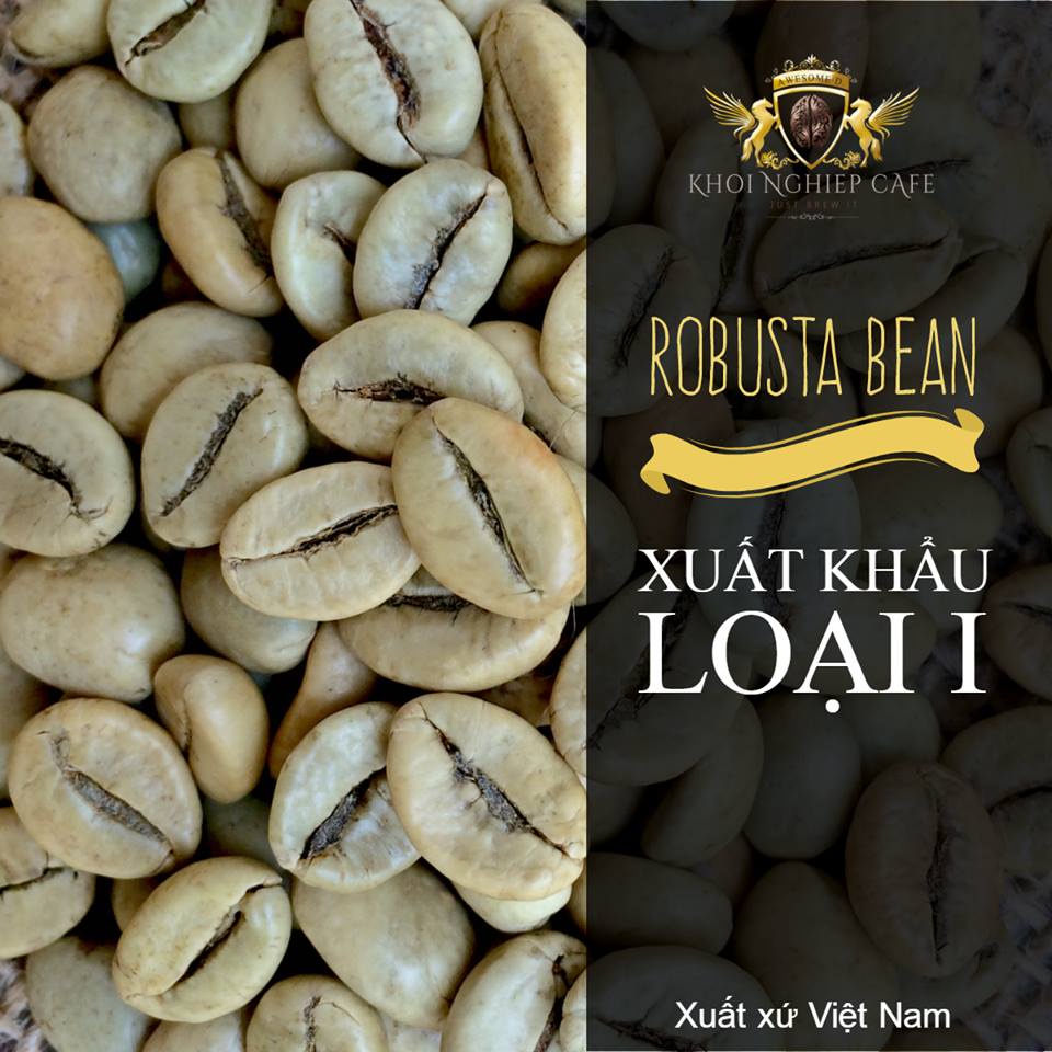 Cà phê Robusta Đăk Lăk nguyên chất 100%, chuyên pha máy