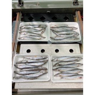 Cá trứng siêu trứng vỉ 8 con (1 khay 8 con)