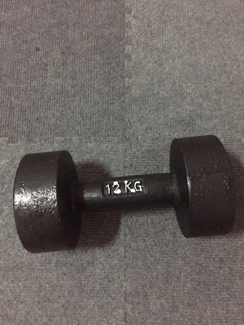 Bộ 1 tạ tay 12kg