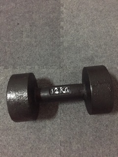 Bộ 1 tạ tay 12kg