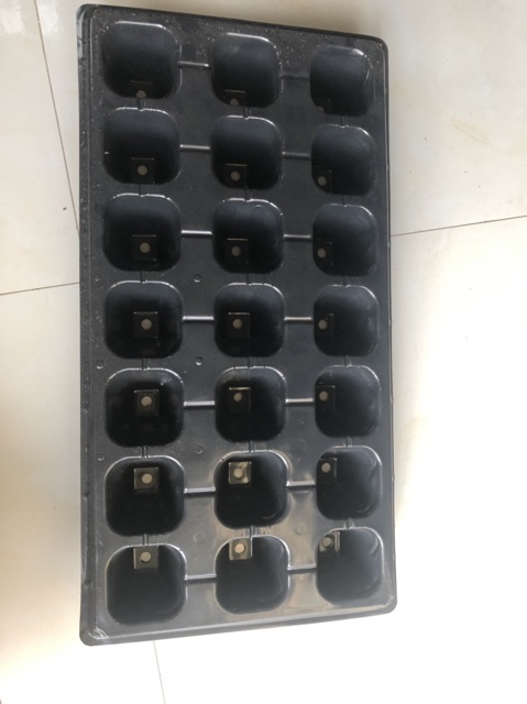 Khay vỉ ươm hạt 21 lỗ