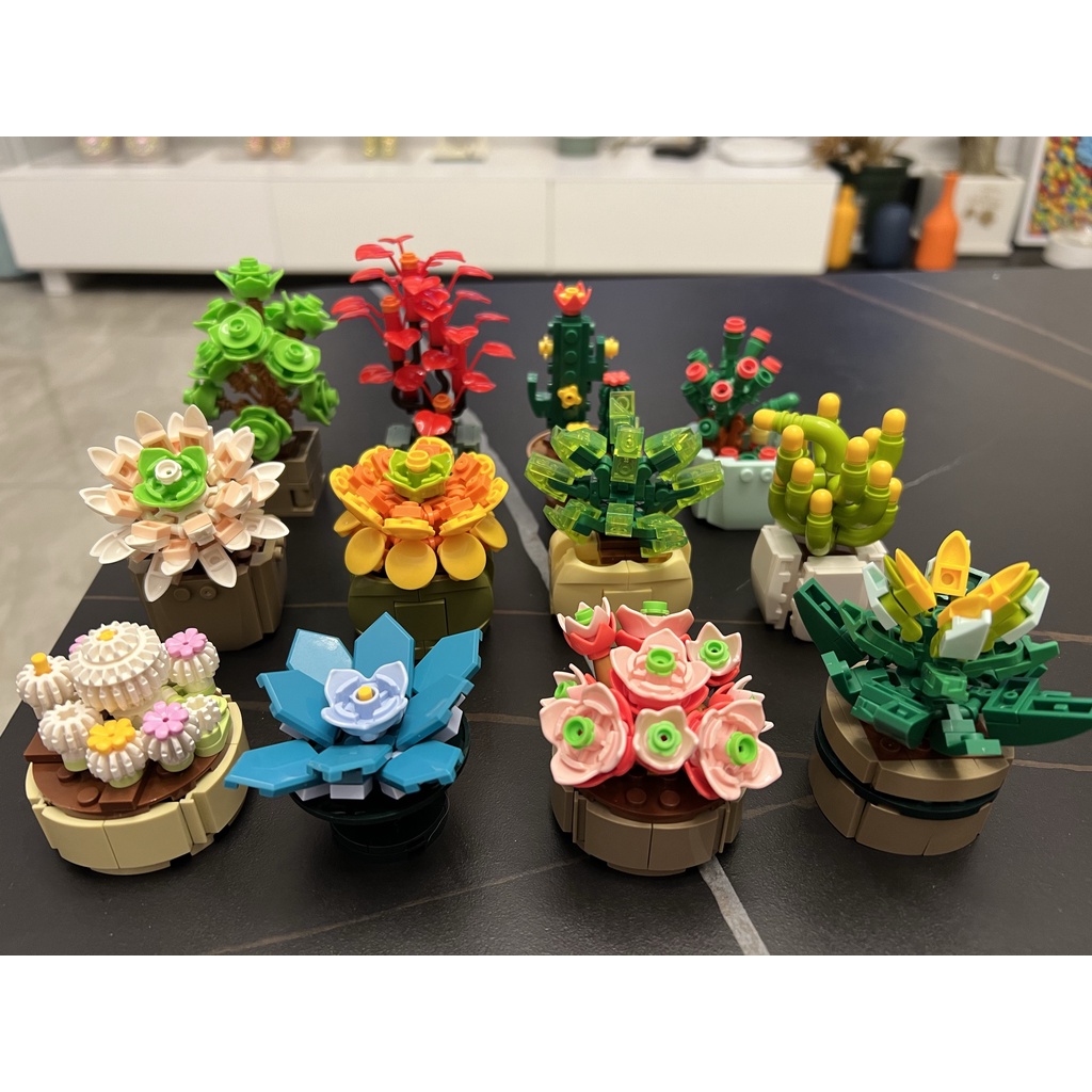 Lego lắp ráp Chậu Sen Đá, Xương rồng.