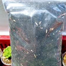 1 Kg Đất Sạch Trồng Cây Siêu Dưỡng Chuyên Dùng Cho Dâu Tây, Sen Đá Và Các Loại Hoa, Rau Củ