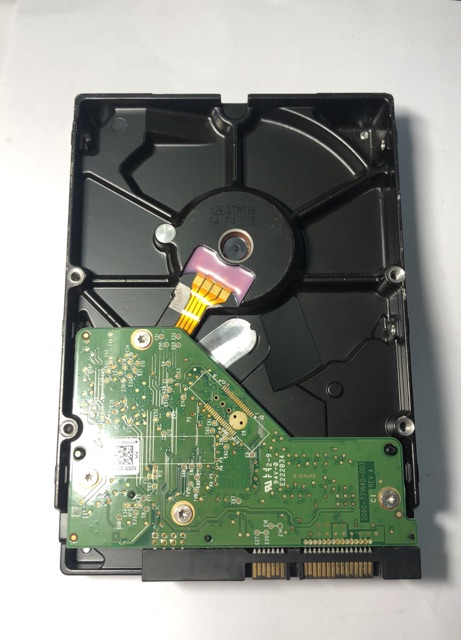 Ổ cứng 250g western