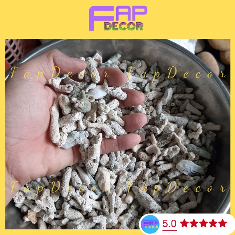 San Hô Sạn Vụn Lọc Nước Tăng Độ PH Cho Bể Cá, Lót Nền Thủy Sinh, Làm Vườn Chậu Cây - FapFood