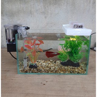 Bể cá mini 24 cm với 6 món bể cá, sỏi nền, máy lọc, cây nhựa vừa, cây nhựa - ảnh sản phẩm 3