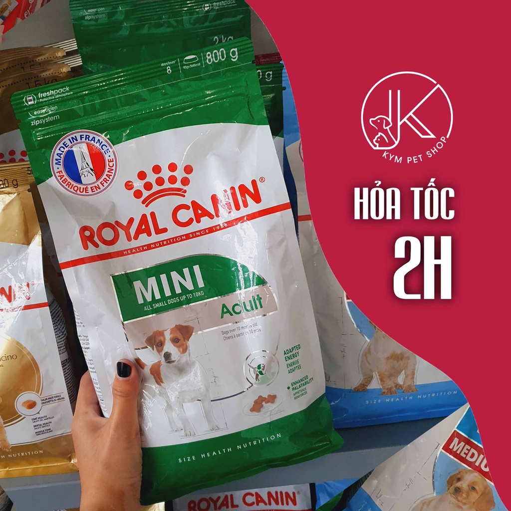 ROYAL CANIN MINI - Thức ăn hạt khô cho chó kích cỡ Mini (Tối đa dưới 10kg)