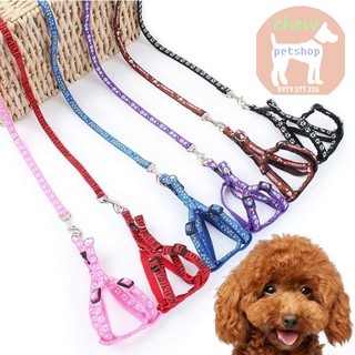 Dây yếm cho chó mèo hàng quảng châu_Phụ kiện chó mèo Chew petshop