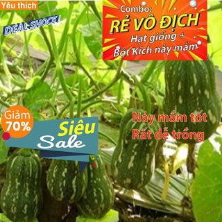 [Combo rẻ vô địch HẠT GIỐNG + GÓI HỖ TRỢ NẢY MẦM] - 3 HẠT GIỐNG BÍ ĐỎ HỒ LÔ