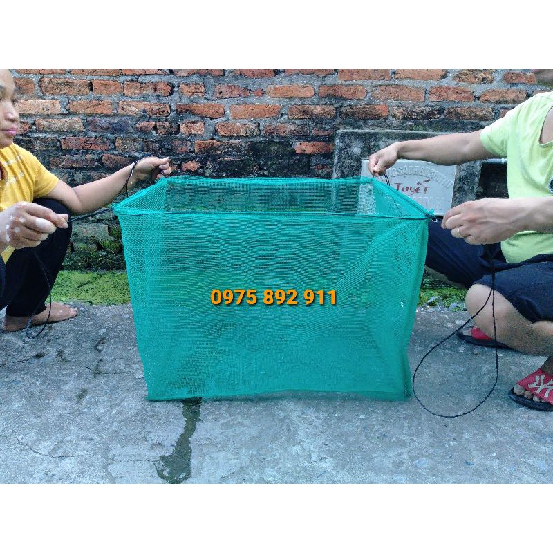 Lồng cá đẻ GUPPY