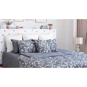 Ga chun Hanvico Bluesky DLP 187 | BigBuy360 - bigbuy360.vn