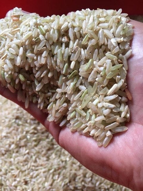 [ 2kg ] Bộ 3 Gạo Lứt Ăn Kiêng Thực Dưỡng / Gạo Lứt Đỏ Điện Biên / Gạo Lứt Séng Cù / Gạo Lứt Tím / Giảm Cân