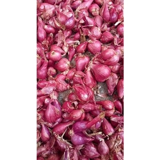 1kg hành tím Lý Sơn