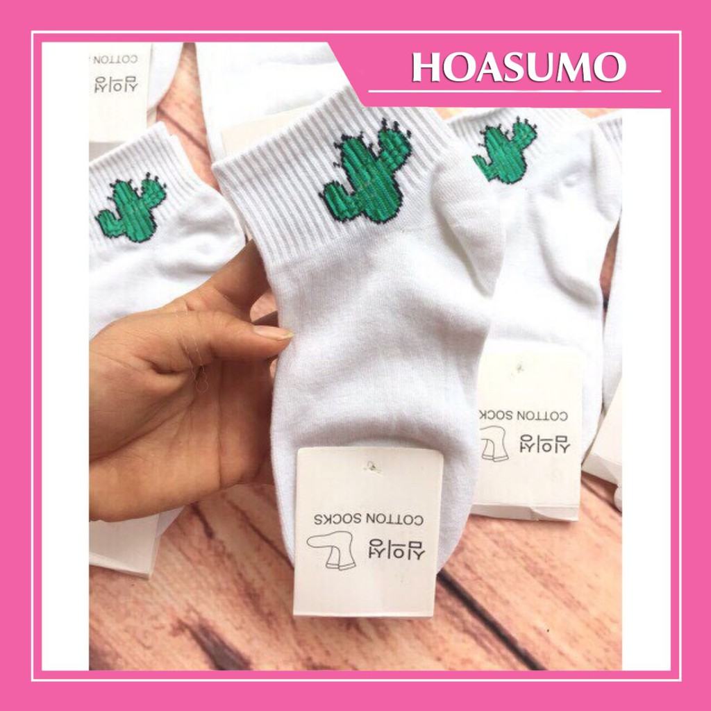 tất hình xương rồng